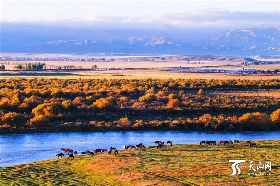 新疆，璀璨多彩的丝路明珠