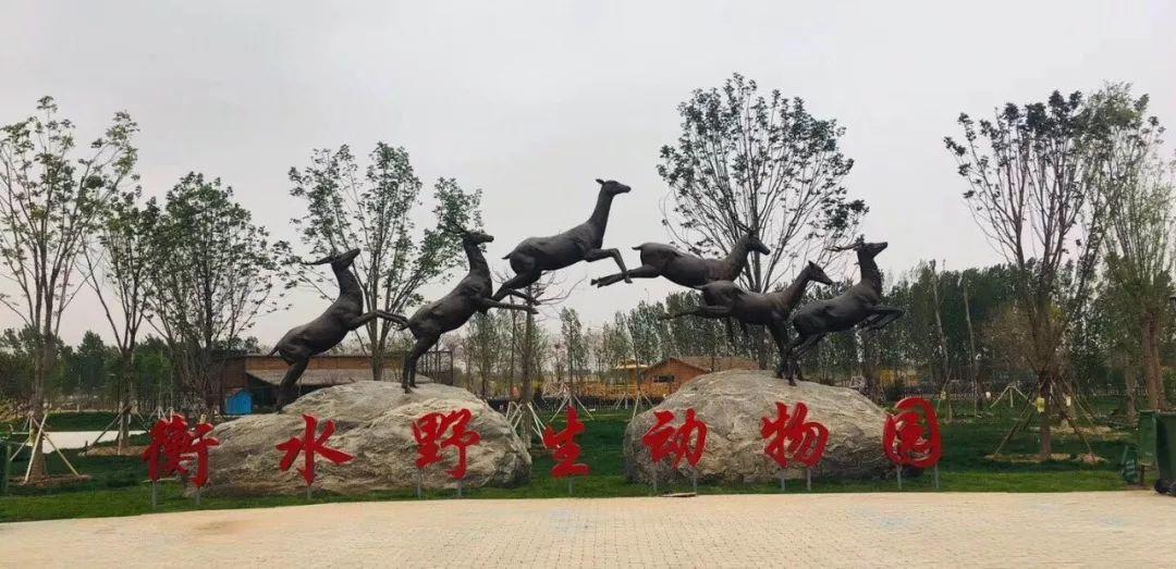 衡水，探寻这座城市的魅力与故事